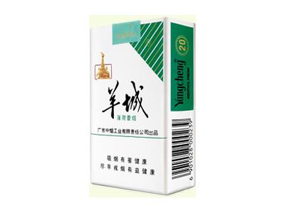 羊城(软薄荷)多少钱一包2024？羊城(软薄荷)价格表和图片-舍宝香烟