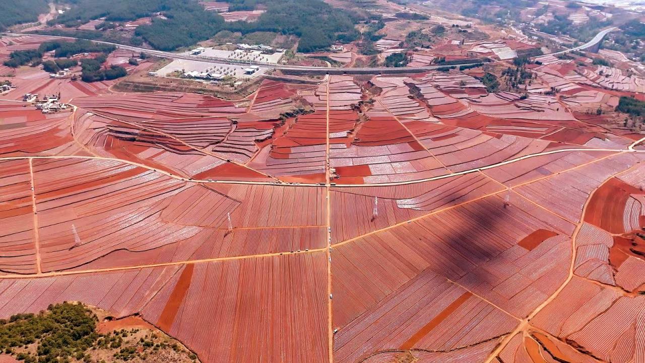 来袭！福建云霄精仿烟零售“笑口常开”