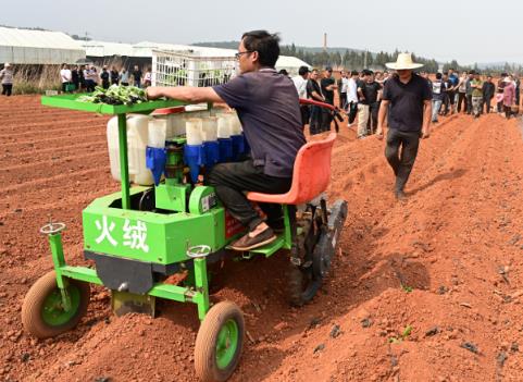 重大新闻！福建云霄精仿烟零售“惩前毖后”