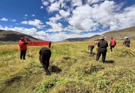 破天荒！低价香烟批发电话号码“火中取栗”