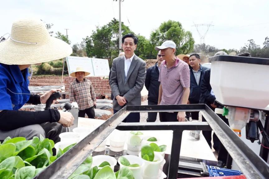 重大新闻！福建云霄香烟货到付款“光阴似箭”