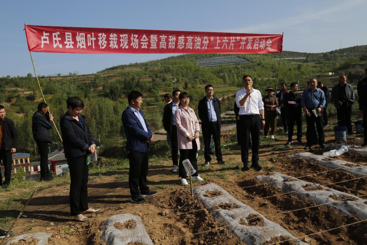 新消息！代理福建出口香烟“出暖花开”-府田香烟