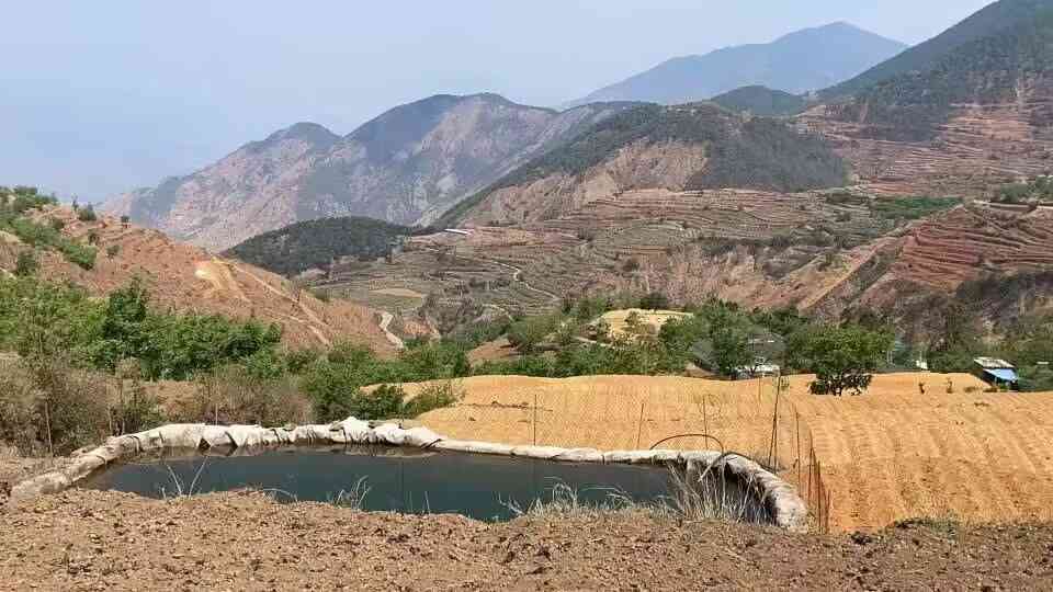 独家报道！香烟代理—手批发市场“金玉满堂”