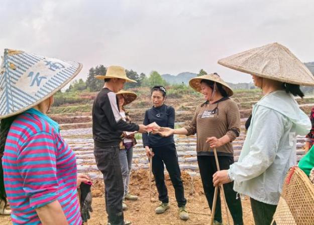 内幕！福建云霄货到付款高仿烟电话“醉卧红尘”-金顿香烟网