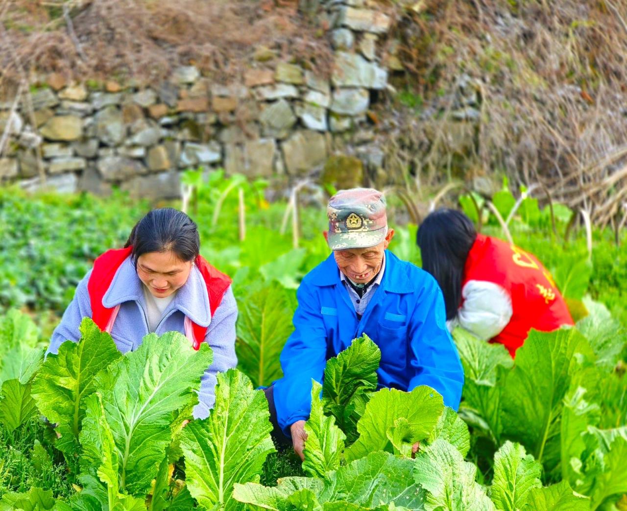 独家专递！广西越南代工香烟批发“铁树开花”