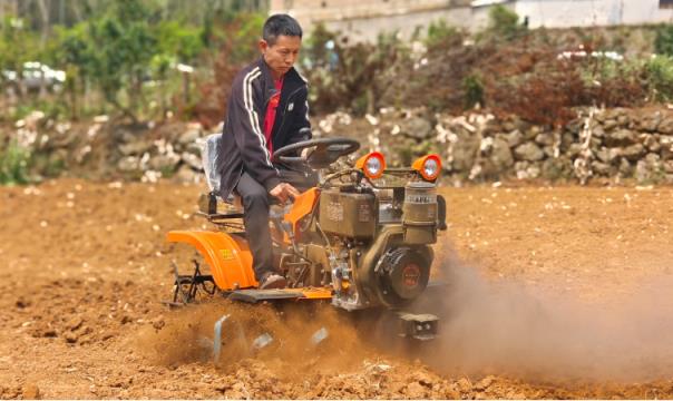 独家报道！云霄香烟跟越代香烟区别“气满志骄”