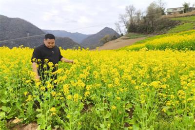 重大新闻！为啥市面上没有外烟了“万古长青”-舍宝香烟