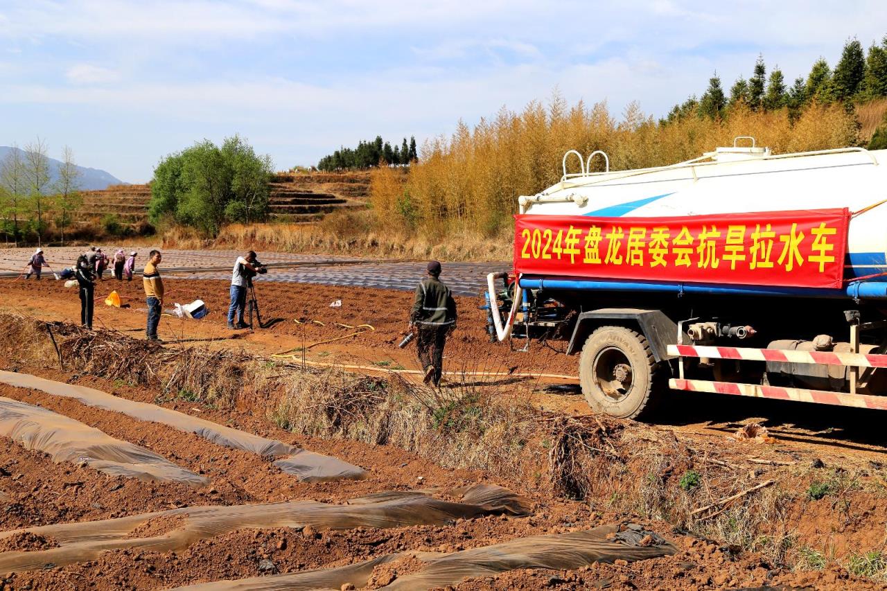 破天荒！福建云霄香烟批发一手货源“民族崛起”-烟架子