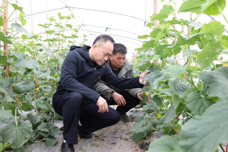 新消息！漳州云霄香烟质量怎么样“低吟浅唱”-烟架子