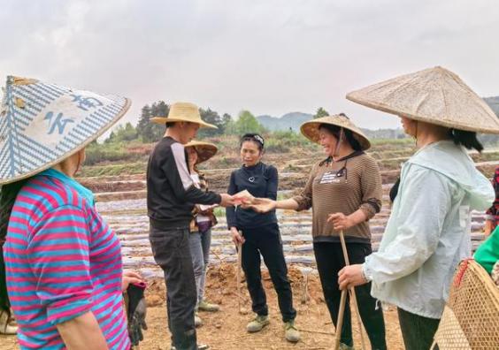 惊现！广西越南代工香烟“熊罴入梦”-金顿香烟网