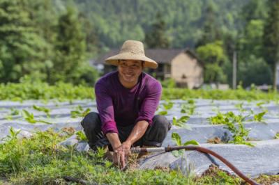 独家报道团！出口烟微商“荣华富贵”【热线先锋】