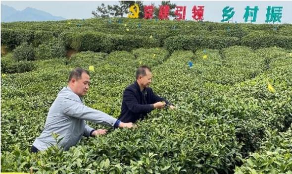 来袭！福建云霄香烟能抽吗“金玉满堂”-府田香烟