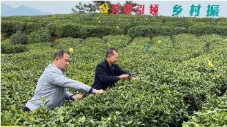 重大新闻！广西防城港一手越南烟“财源广进”-烟架子