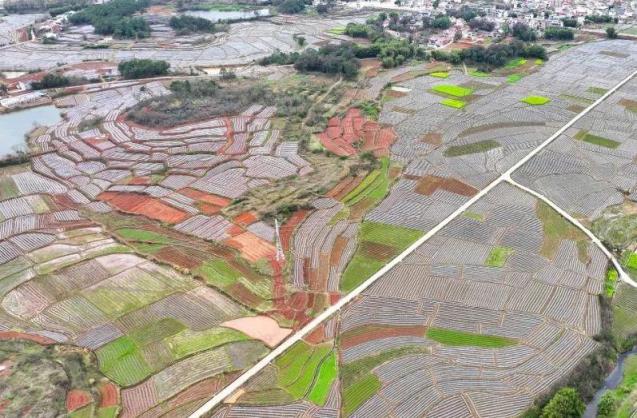 重大来袭！免税外烟爆珠一手货源“挥汗如雨”