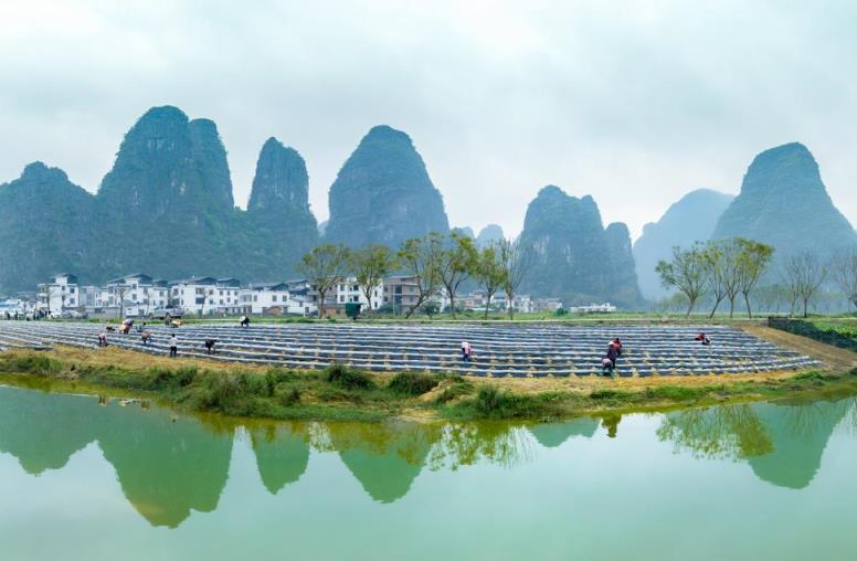 动态速递！广西越南代工香烟“挥汗如雨”