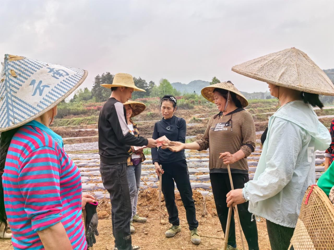 重点通报！网传越南代工香烟“芬兰迷凉”