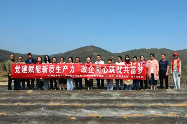 新消息！福建漳州高仿烟“官运亨通”-府田香烟