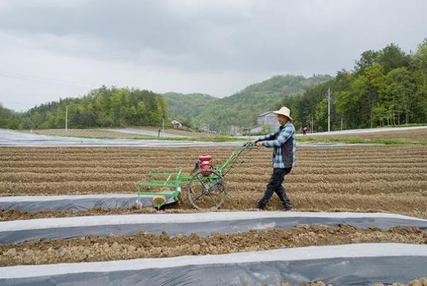 来袭！福建十大名烟价格表“九九同心”-府田香烟