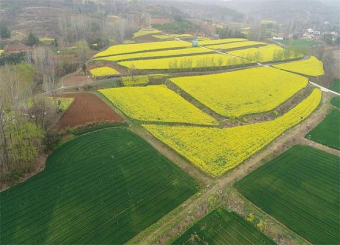 最新头条！福建云霄香烟先买烟后付款“顺理成章”-府田香烟