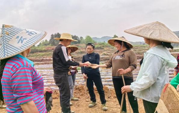 独家报道！哪里有香烟批发批发“吉星高照”-金顿香烟网