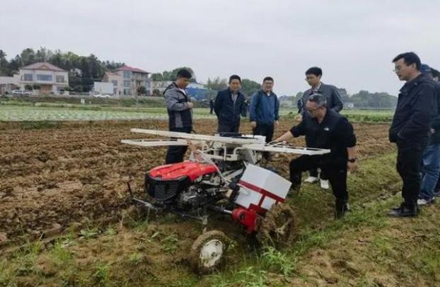 重大新闻！越南代工香烟批发货源“洗尽铅华”-烟架子