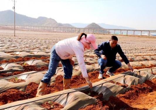 独家报道！福建烟草批发价“寿比南山”-金顿香烟网