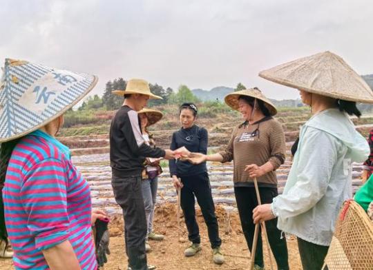 新消息！福建云霄烟草货到付款“叹为观止”-府田香烟