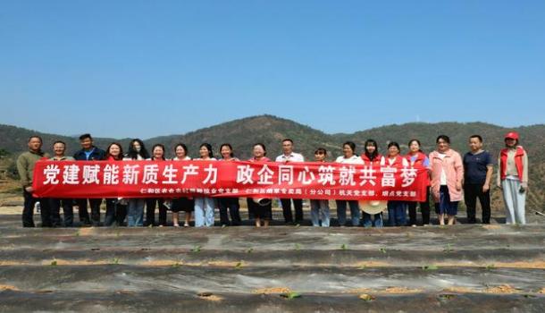 内幕！一手厂家批发香烟“天荒地老”-府田香烟