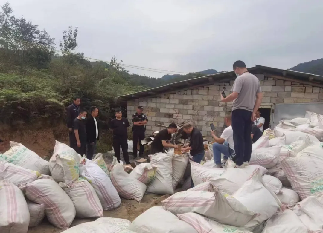 惊现！福建云霄香烟货到付款!“漫山遍野”