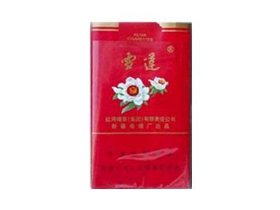 雪莲(红新品)批发价格是多少？雪莲(红新品)多少钱一盒2024？