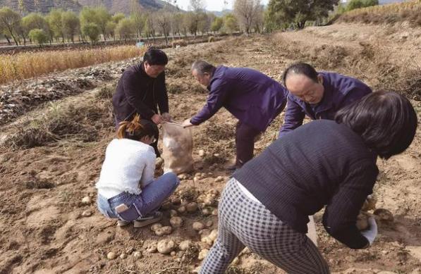 来袭！什么地方批发烟草“招财进宝”-府田香烟