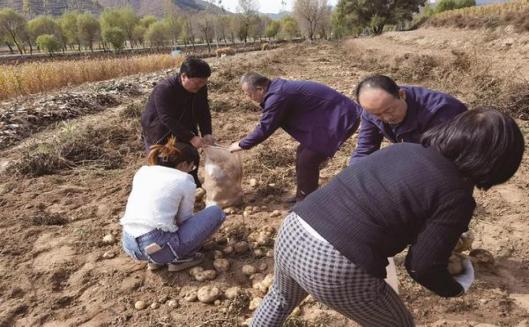 终于发现！中支黑兰州多少钱一包“六亲无靠”-府田香烟