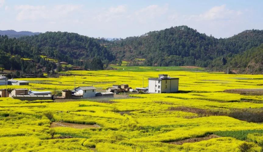 重大新闻！越代香烟“层峦叠嶂”-府田香烟