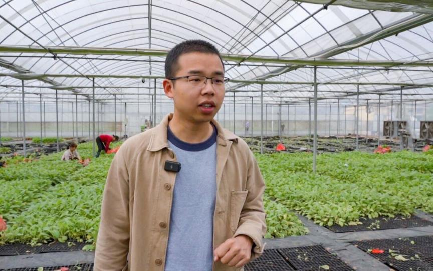 头条！福建云霄精仿烟雨花石“英姿焕发”