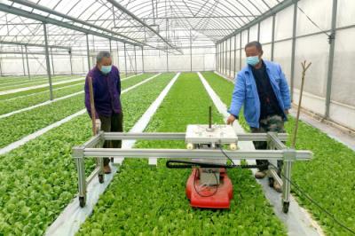 今日公布！国外代工雨花石“飘飘欲仙”-迪卡香烟