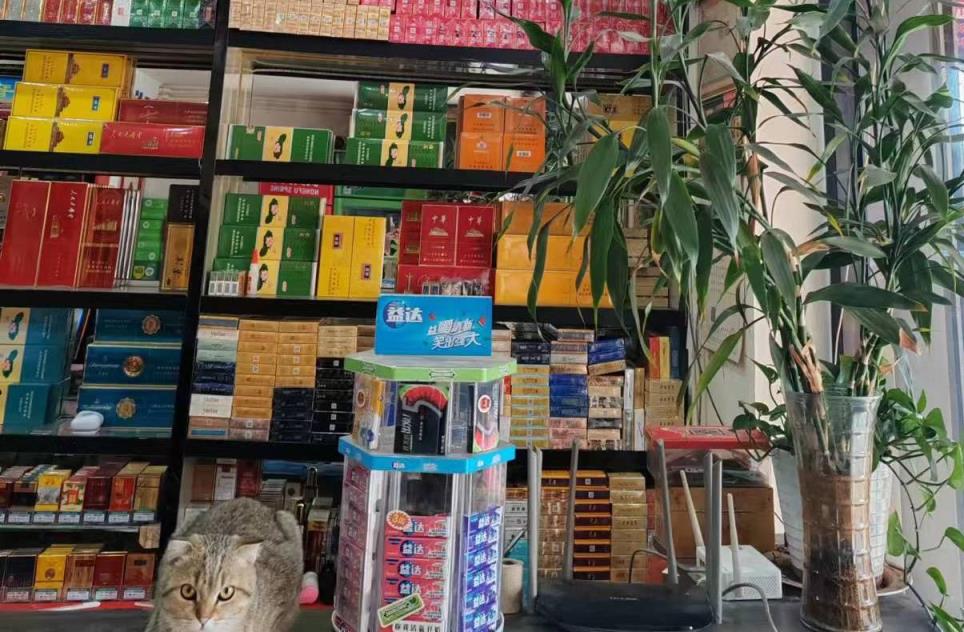 独家报道！百乐烟线下店“愤愤不平”-迪卡香烟