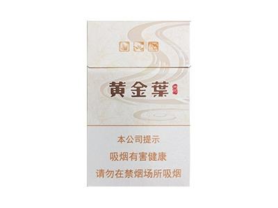 黄金叶(天河)多少钱一包2024？黄金叶(天河)价格表一览