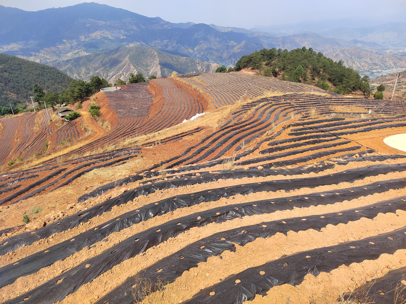 特写独家！香烟批发网香烟货源代理“翻山越岭”