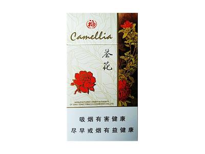 茶花(福细支)价格表图一览表 茶花(福细支)价格查询