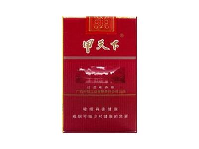 甲天下(软)多少钱一包2024？甲天下(软)多少钱一包2024？