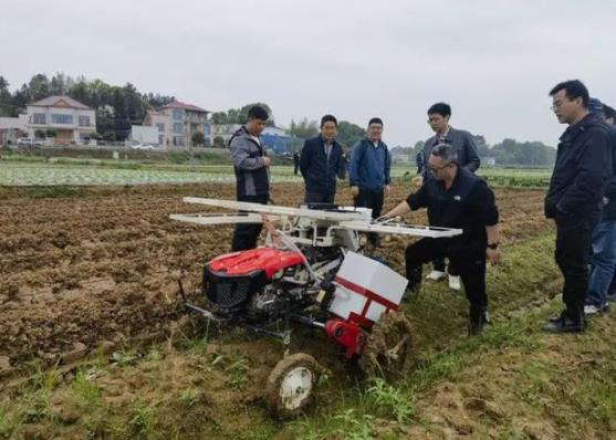 惊现！福建云霄种的什么烟“花红柳绿”