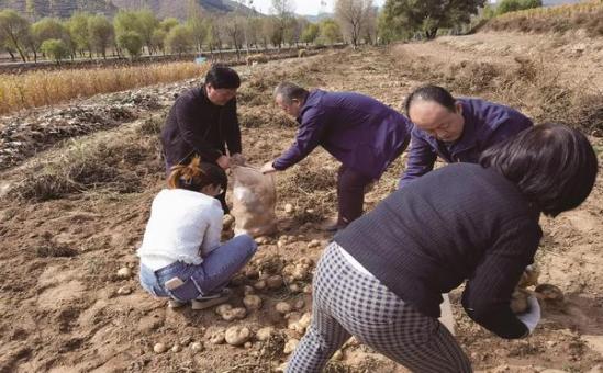 重大来袭！烟批发市场进货渠道“由此及彼”-府田香烟