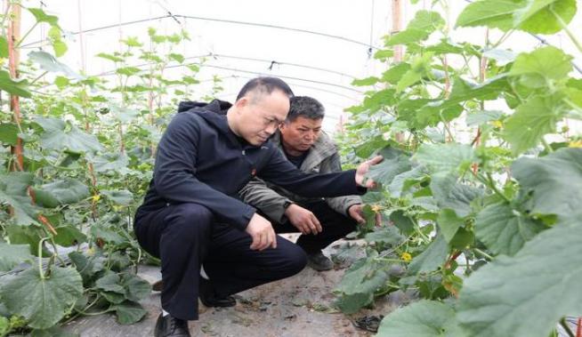 重点通报！广东烟草电子商务网站“冲锋陷阵”-府田香烟