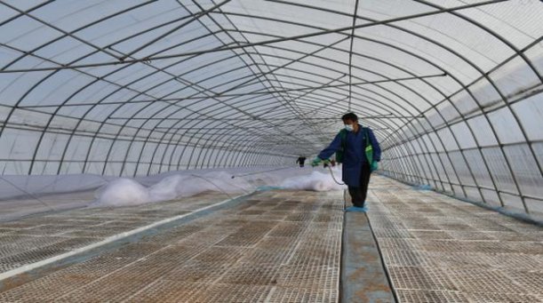 福建云霄高档烟批发货源"拐弯抹角" | 普客香烟网